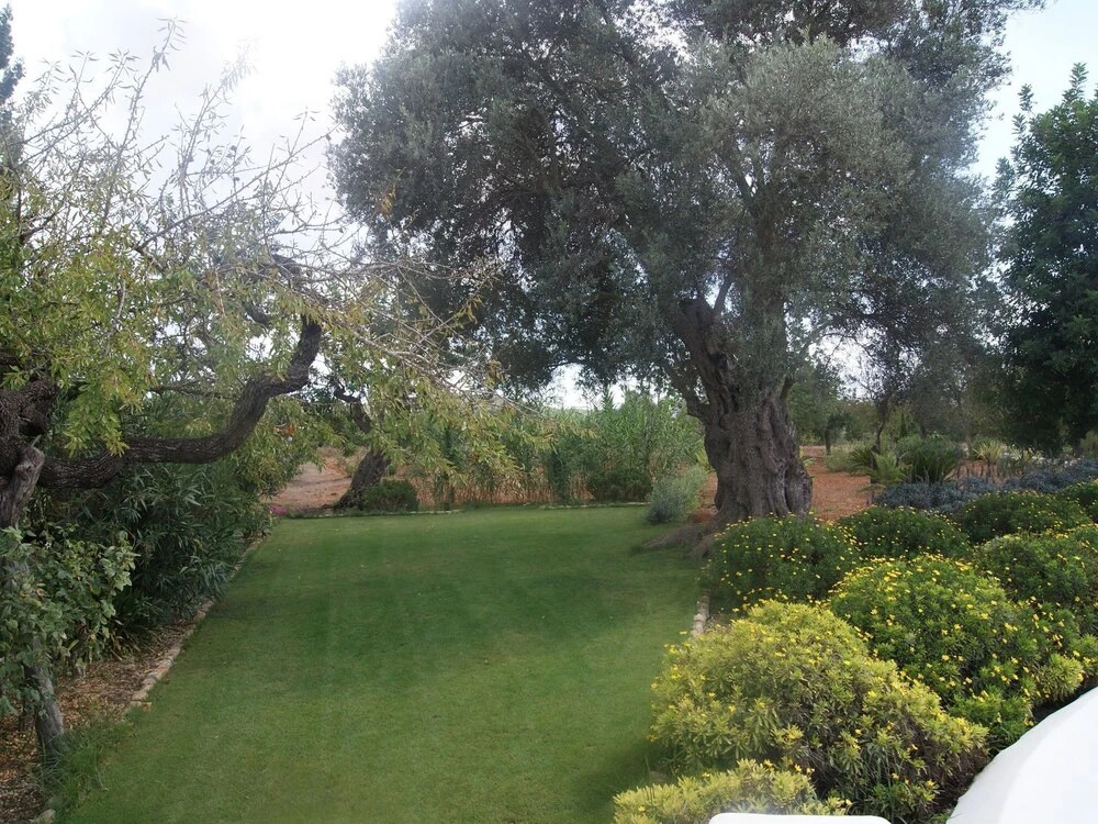 Villa with Traditional Architecture & Pool on Balearic Islands in San Lorenzo