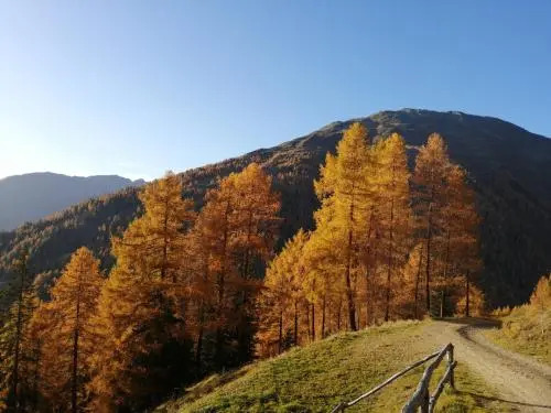Almhütte Senfter