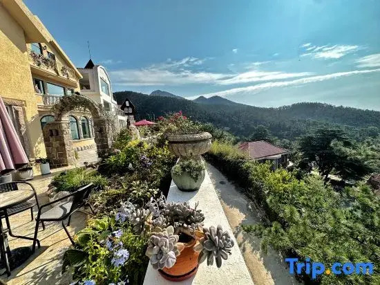 Manju Gallery Hotel and Boutique (Qingdao, Laoshan)