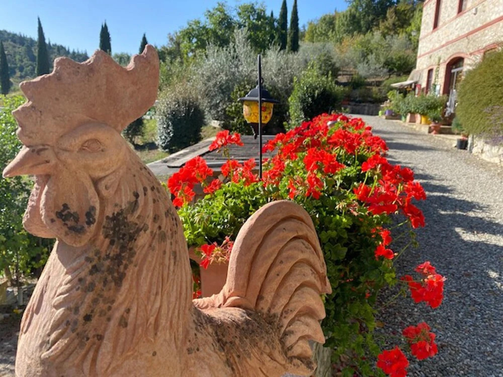Casa Acacia 3br,2ba House in Castellina in Chianti