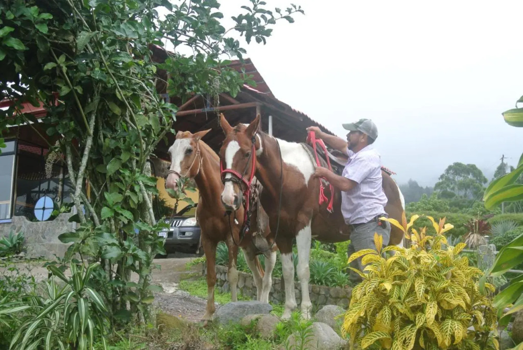 Guayabo Lodge