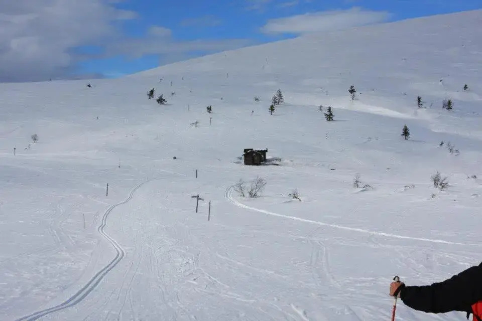 Kyrön Loma