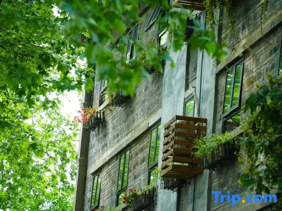 Yueqi·Wutongyu B&B