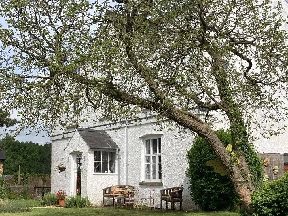 Art House B & B