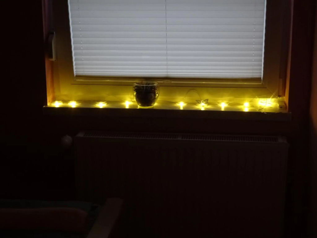Apartment Tjaša