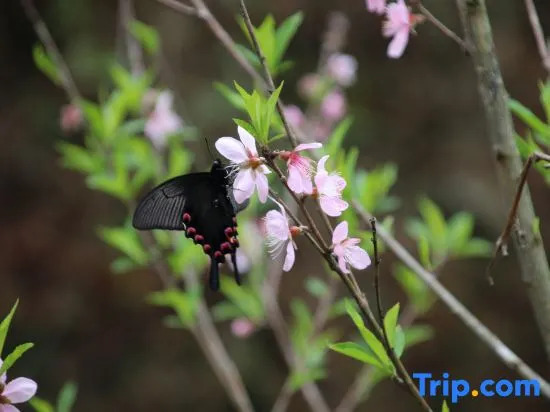 Yueqixi·Small Village Homestay (Tiantangzhai Scenic)