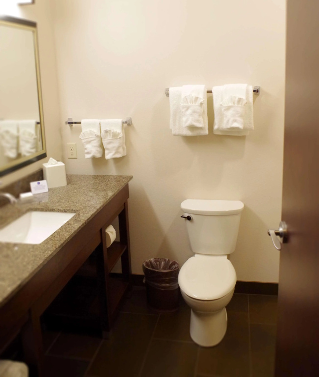 Best Western Plus Lincoln Inn & Suites