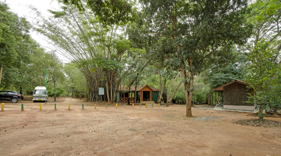 Bannerghatta Nature Camp-Jungle Lodges