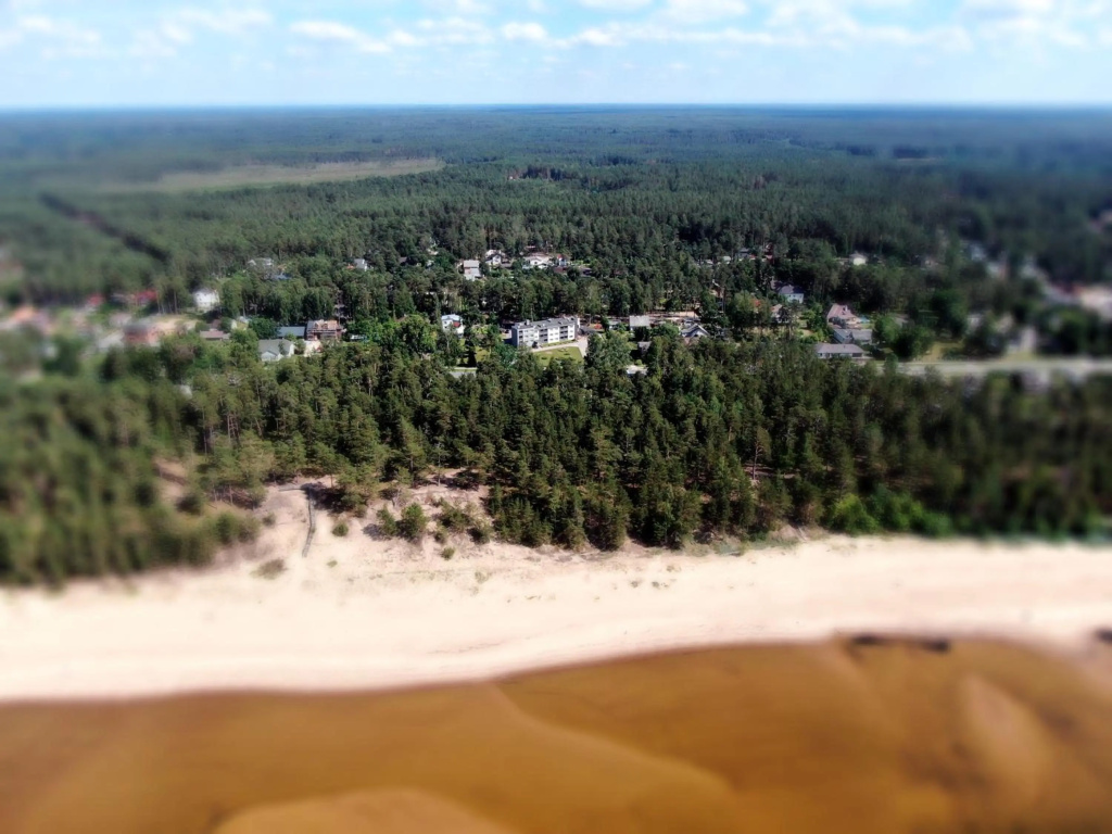 Pine Resort
