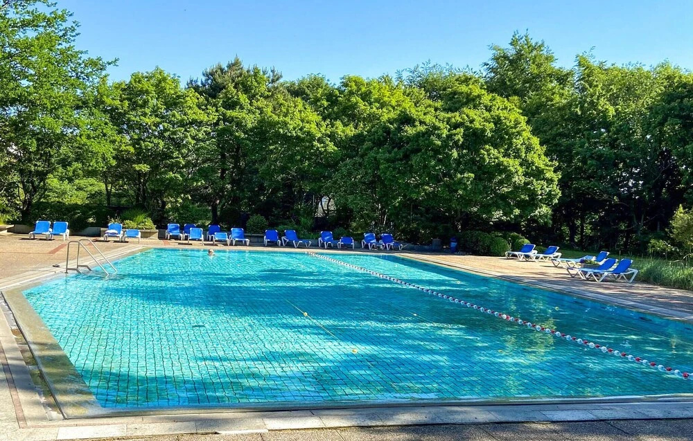 Awesome Apartment in Timmendorfer-strand With Wifi, Outdoor Swimming Pool and 1 Bedrooms