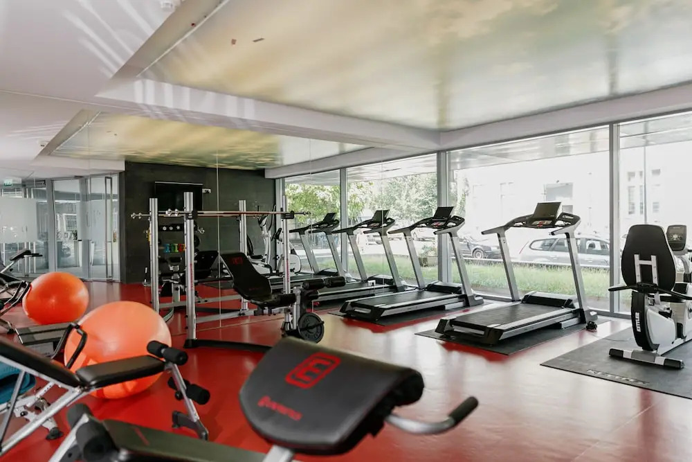Vernescu Luxury Residence