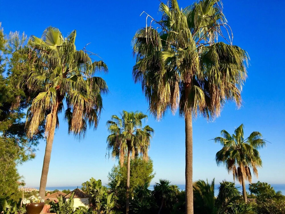 Villa With 4 Bedrooms in Marbella, With Wonderful sea View, Private Po