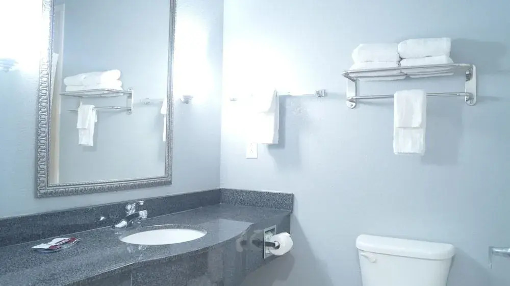 Magnolia Inn and Suites Olive Branch