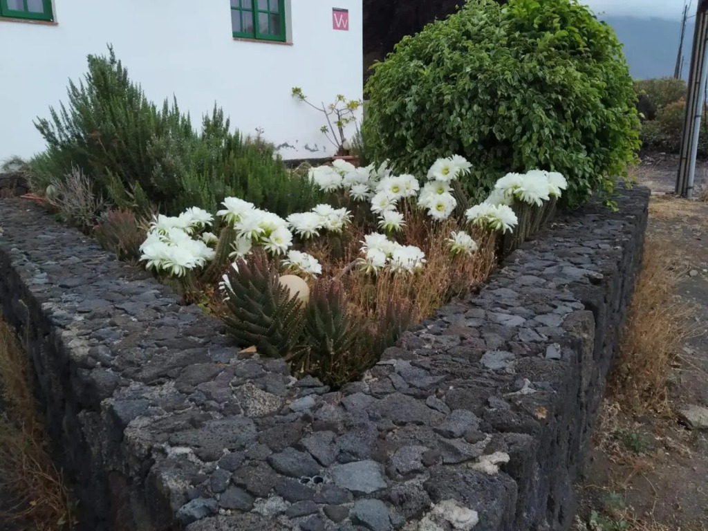 Vivienda vacacional Casa Rosi