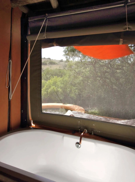 The Safari Lodge