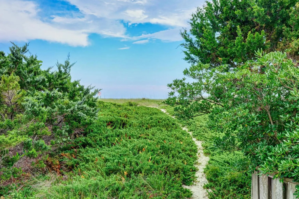 Coyote by Sea Scape Properties