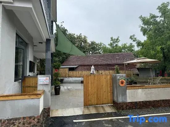 homestay  hotels