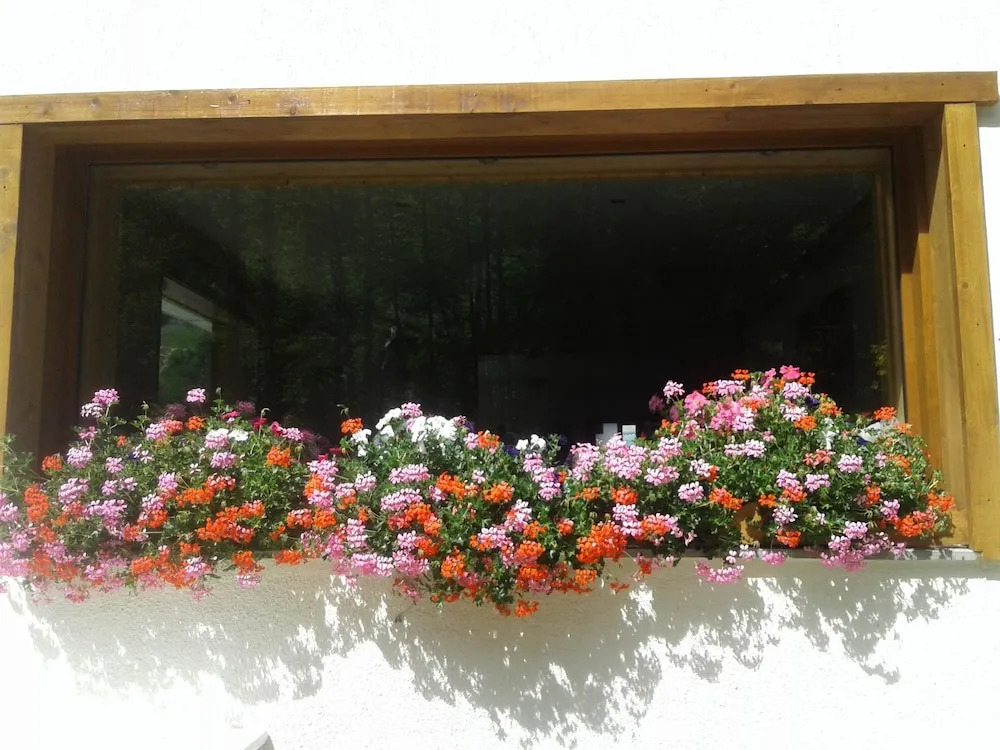 Hôtel FlorAlpes