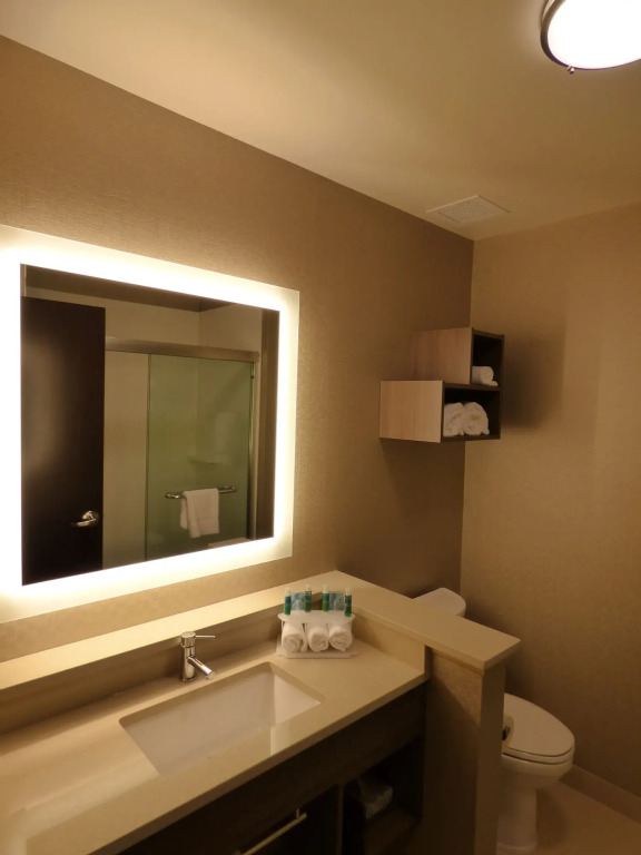 Holiday Inn Express & Suites Plymouth - Ann Arbor Area by IHG