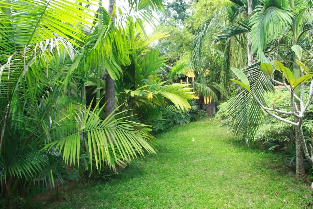 Traditional Kandyan House