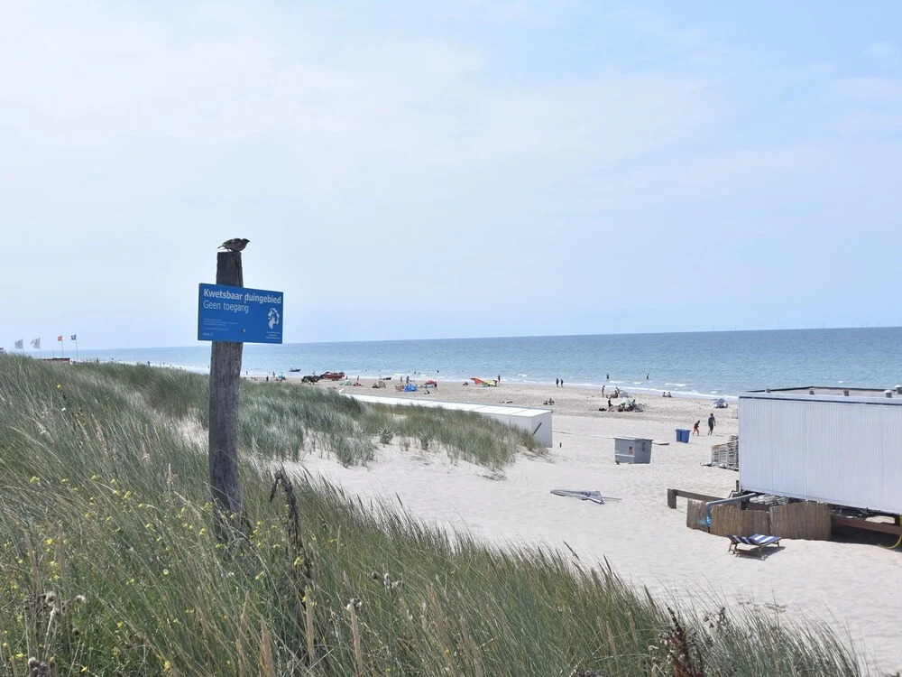 Dune Top Family Retreat