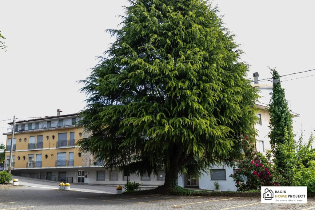 Casa Liviya