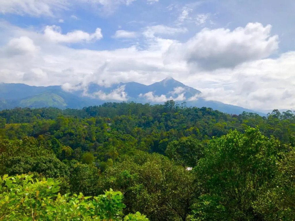The Svarga Munnar Hill View resort