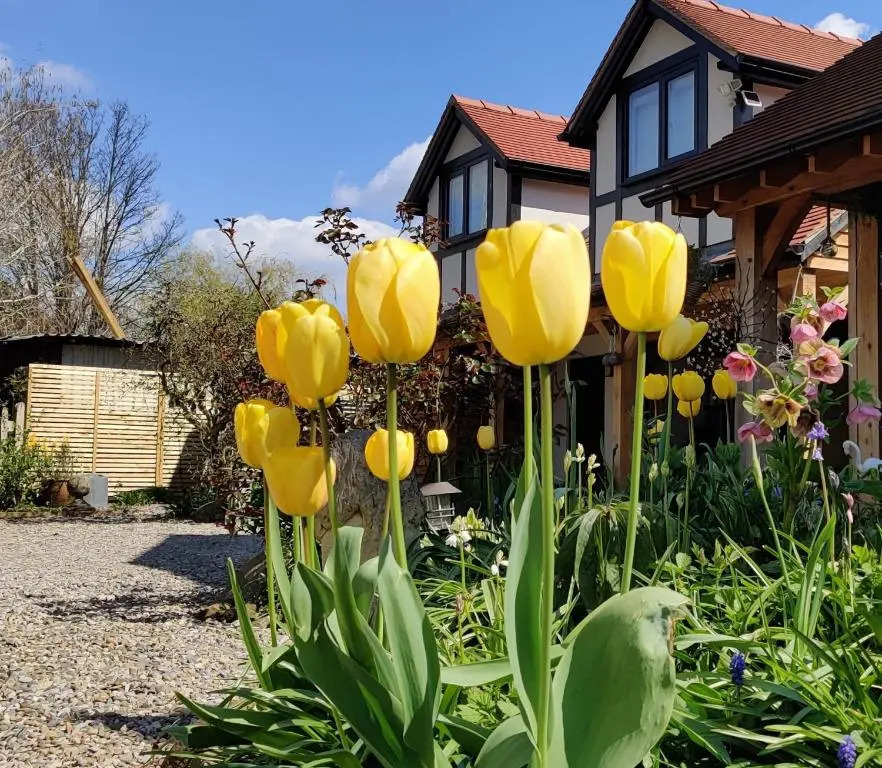 Delightful & Picturesque Modern Detached Apartment, Next to Chester Zoo, Near Park and Ride to City Centre