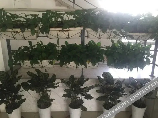 天津市大学软件学院学术交流中心