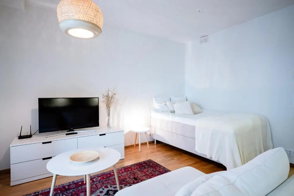 Wonderful studio apartment
