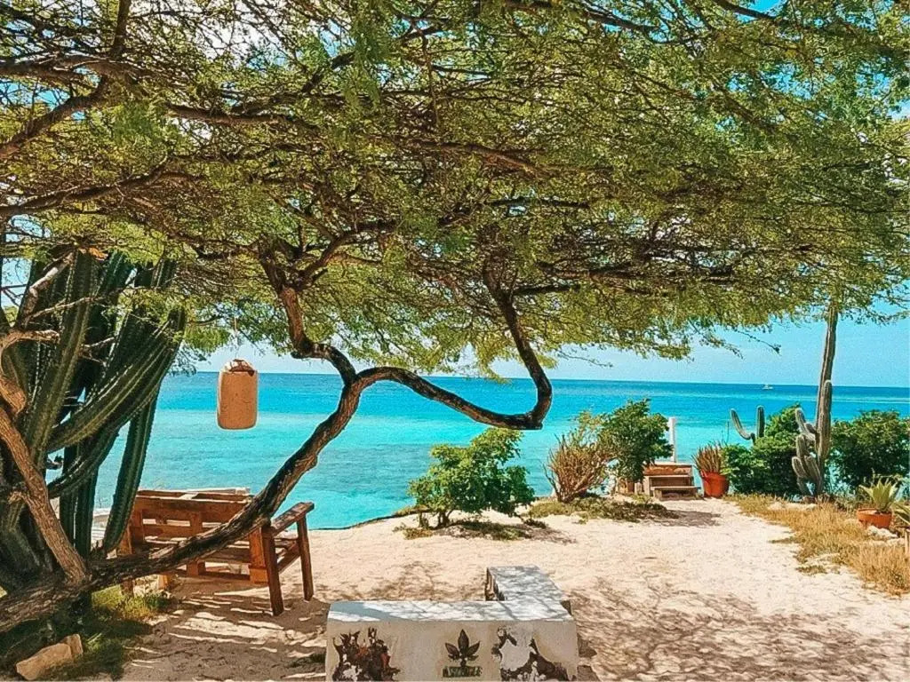 Beachfront Bella Horizonte 8