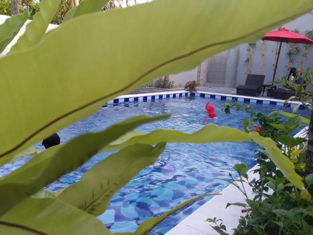 Palm Bamboo Hotel