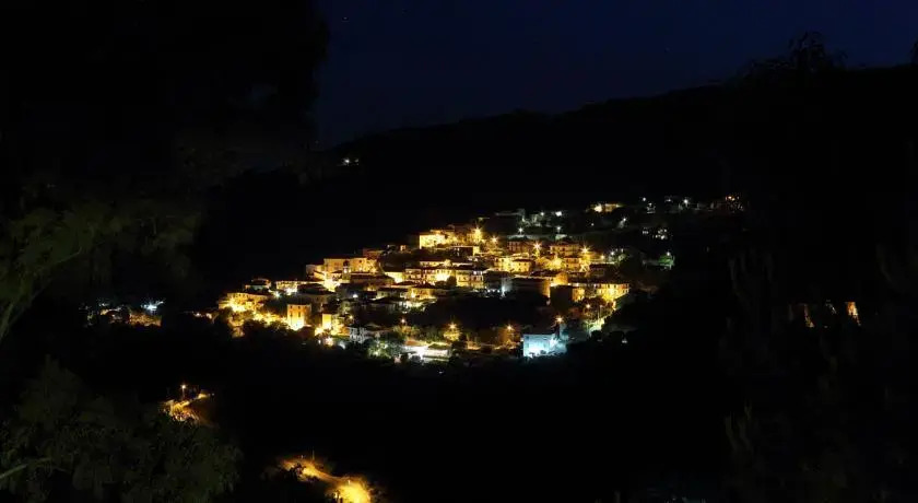 La gatta del cilento