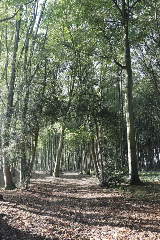 Le Domaine Saint Ange