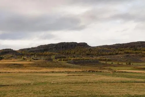 Skipalaekur Farm Apartments