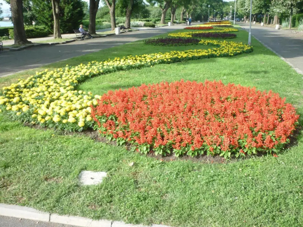 Sea Garden Plaza Apartment