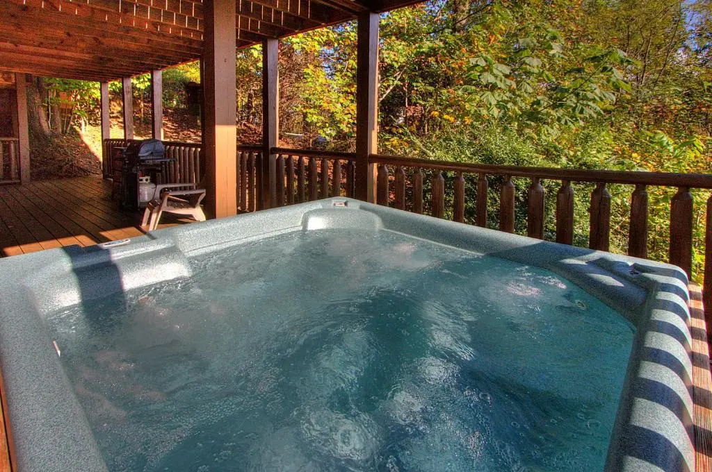 Rustic 4/2 Log Cabin with Lovely Views! Sleeps 8!