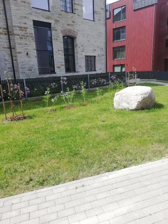Kalamaja Garden