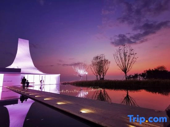 Xinhai Sea View Swimming Pool Villa（Poly Jinchowan Store）