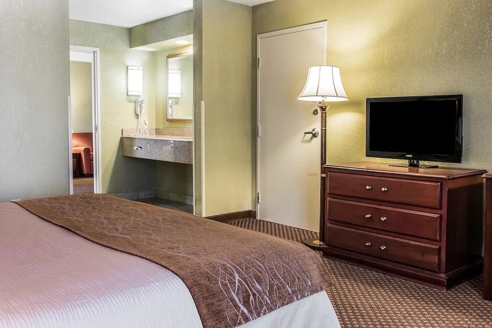 Comfort Inn & Suites Ann Arbor