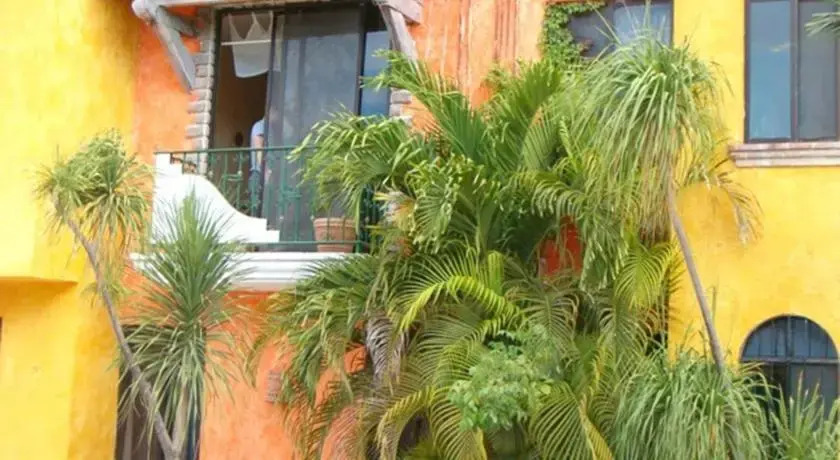 Casa Steven