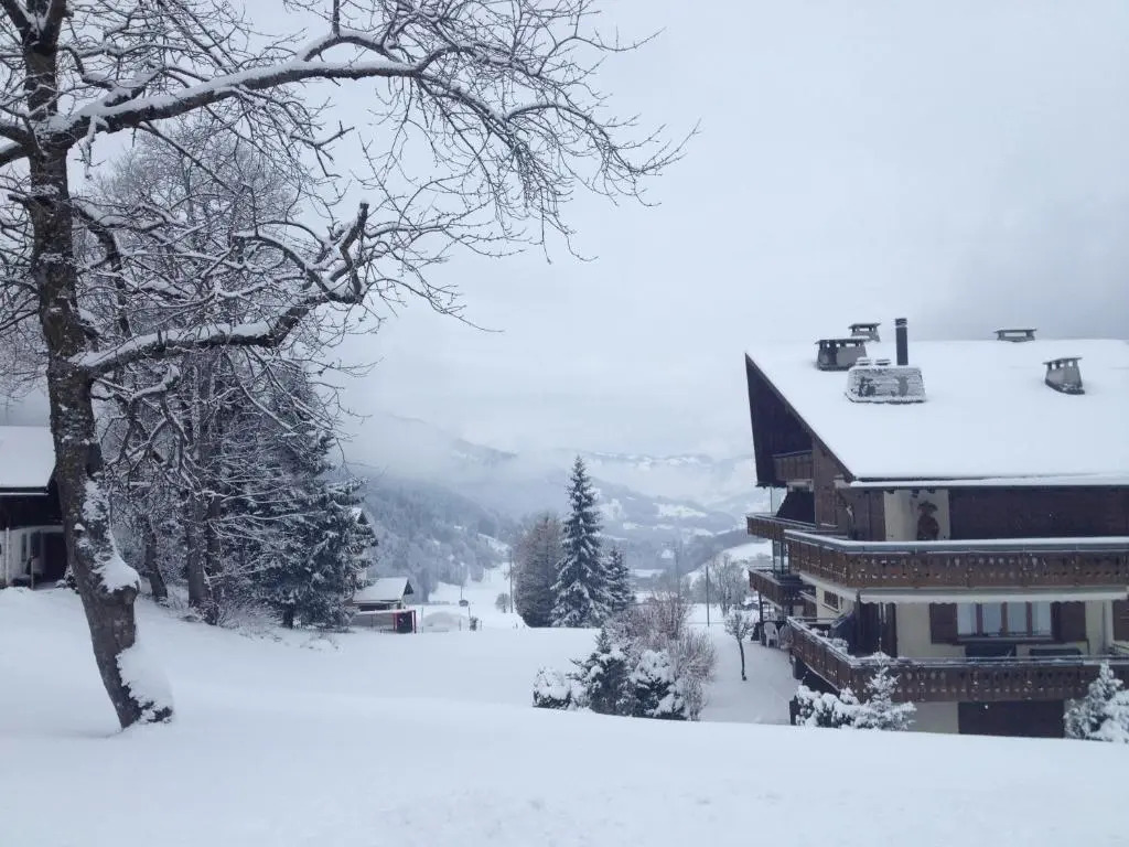 Haus Fless 7