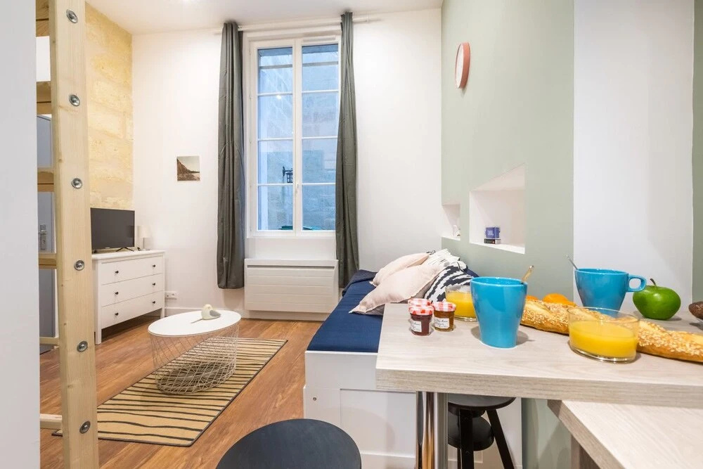 Bordeaux Apartment in the Heart of the City