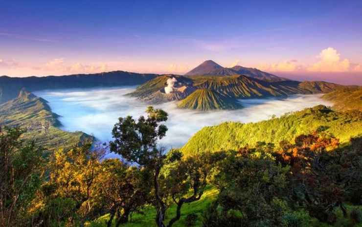 Homestay Ricky 2 Gunung Bromo