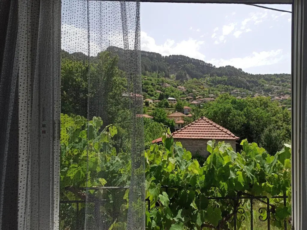 ELLI΄S HOUSE ΣΥΓΧΡΟΝΟ ΣΠΙΤΙ ΣΤΑ ΠΡΑΜΑΝΤΑ
