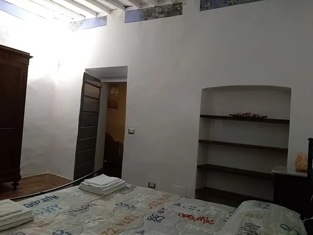 Violino
