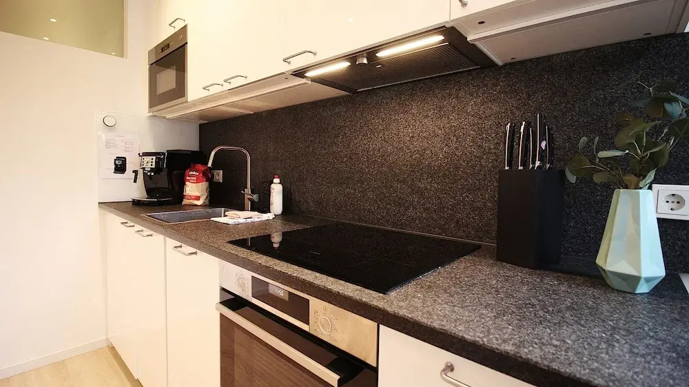 Spacious Design Apartments near Center
