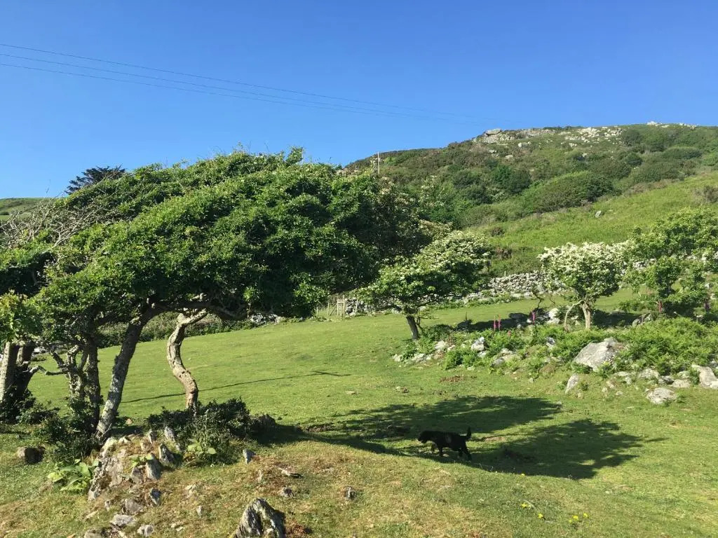 Beautiful Wales