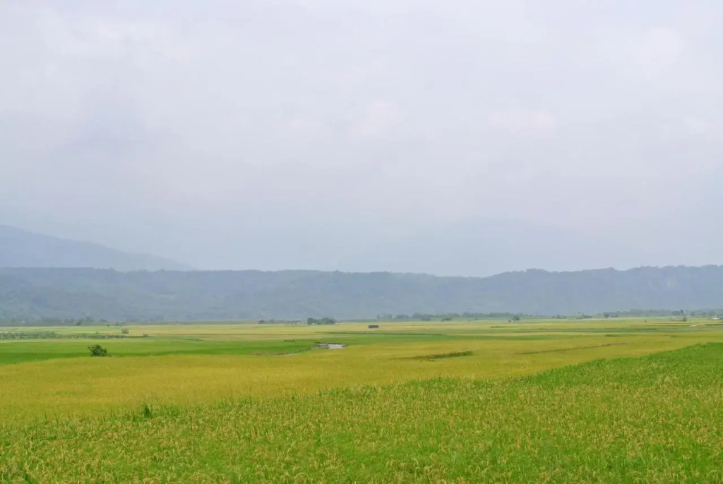 Pu Shi Homestay