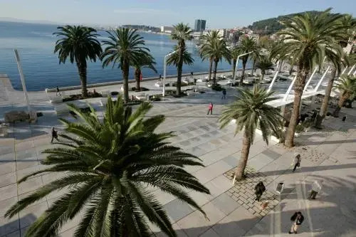 Riva Studios